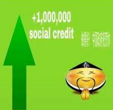 +1000 social credit
